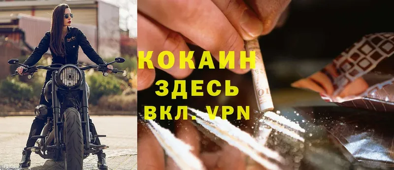 Cocaine Эквадор  как найти закладки  Дальнереченск 